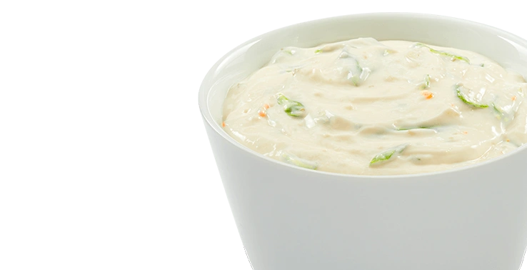 Cactus Dip