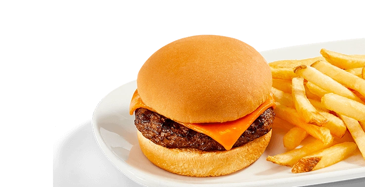 Kids Cheese Burger